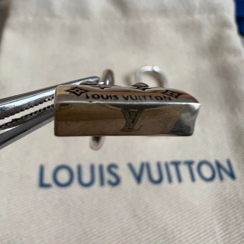 Sustainable Louis Vuitton Earrings 249044