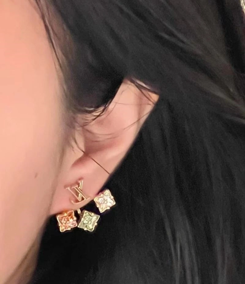 Durable Louis Vuitton Earrings 249042