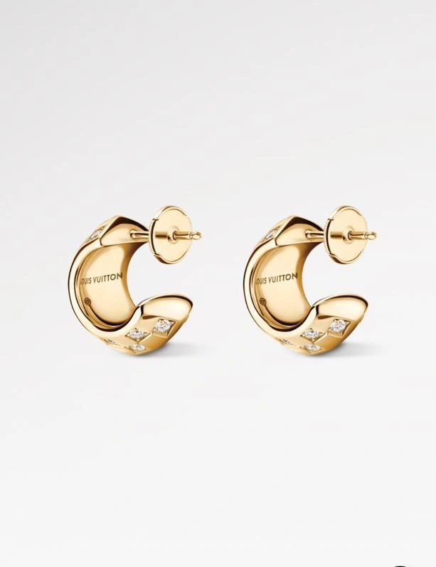 Louis Vuitton Earrings Stylish 249037