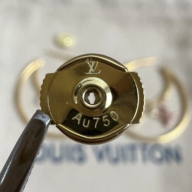 Efficient Louis Vuitton Earrings 249024
