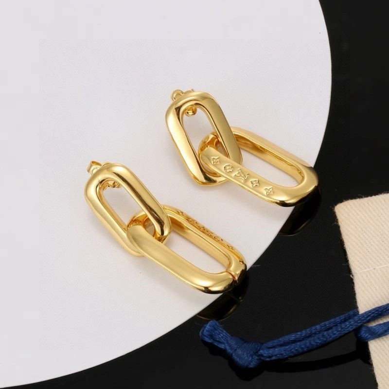 TravelReady Louis Vuitton Earrings 249012