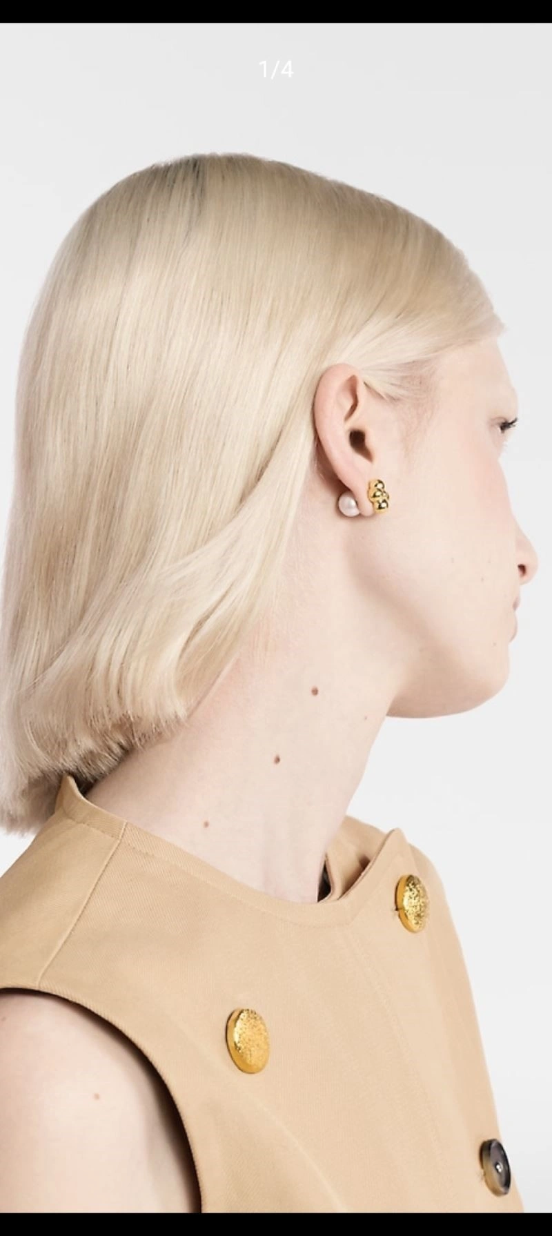 Louis Vuitton Earrings Trendy 248627