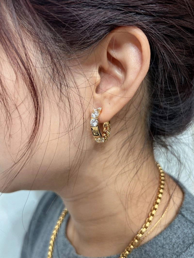 Louis Vuitton Earrings Fashionable 248612