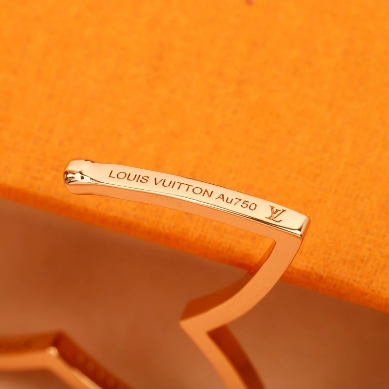 Supportive Louis Vuitton Earrings 248596