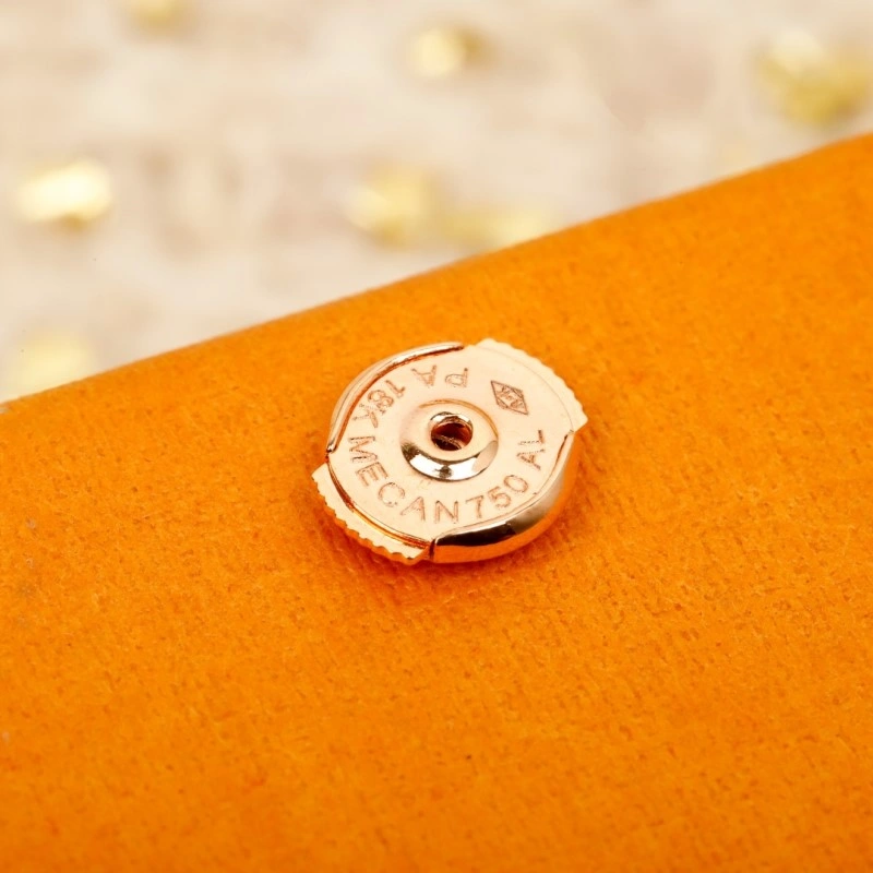 Louis Vuitton Earrings Attractive 248066