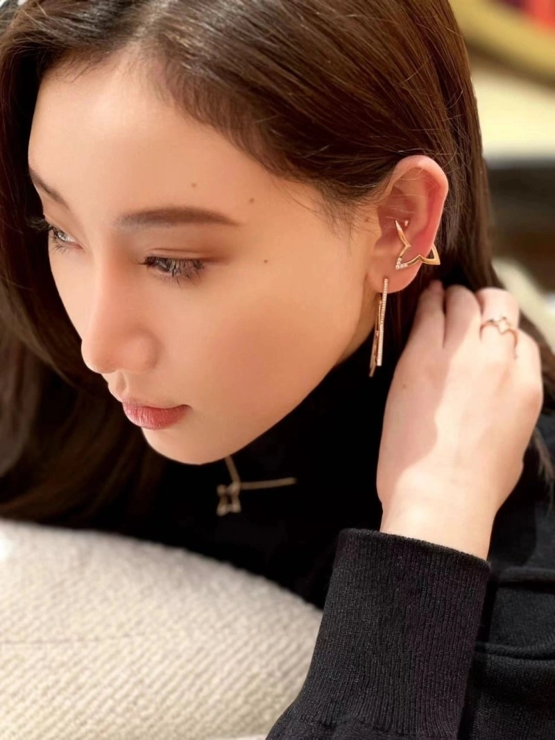 Louis Vuitton Earrings Attractive 248066