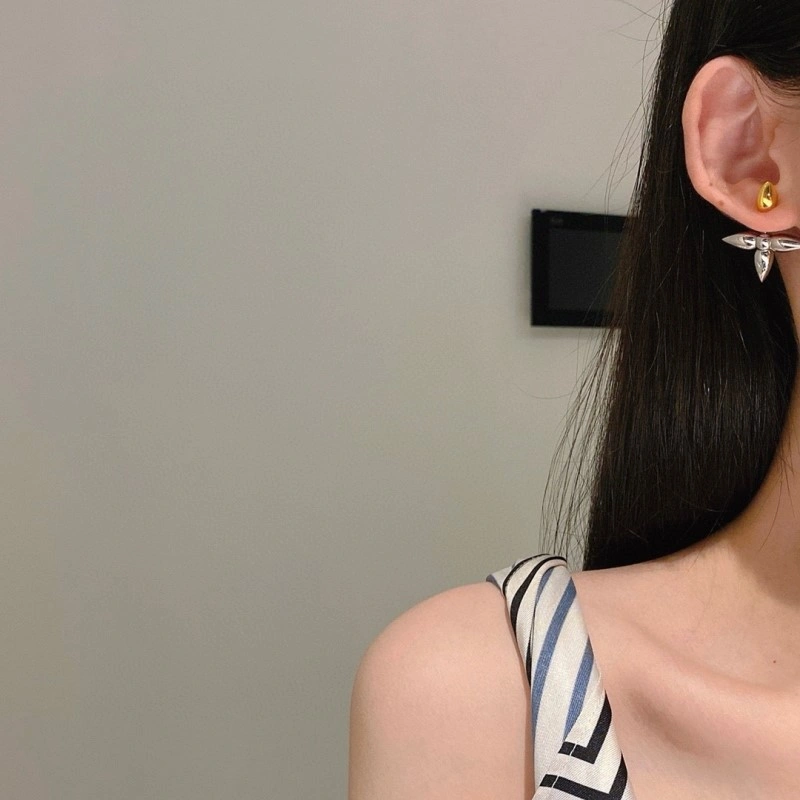 ZipUp Louis Vuitton Earrings 248061