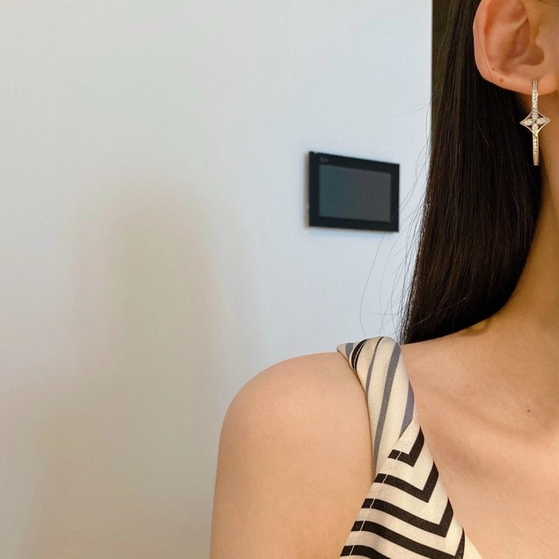 FastDry Louis Vuitton Earrings 248082