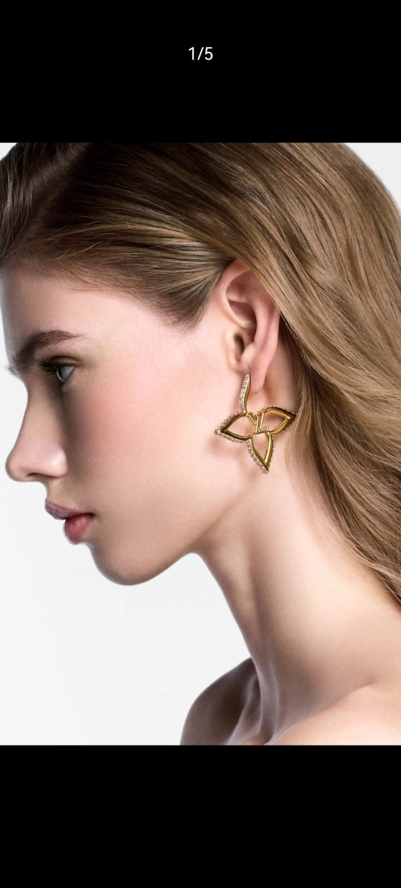 Elegant Louis Vuitton Earrings 248045