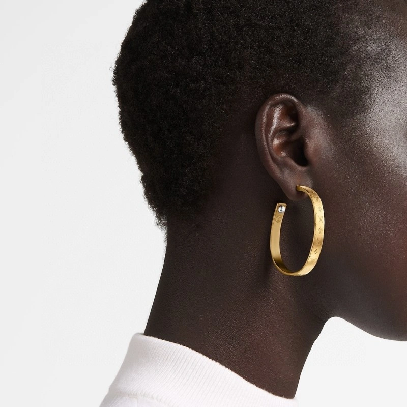 Louis Vuitton Earrings DailyWear 248042