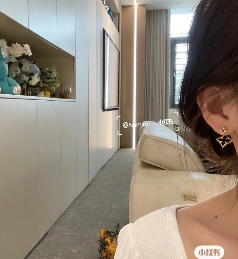 Louis Vuitton Earrings Contemporary 248019