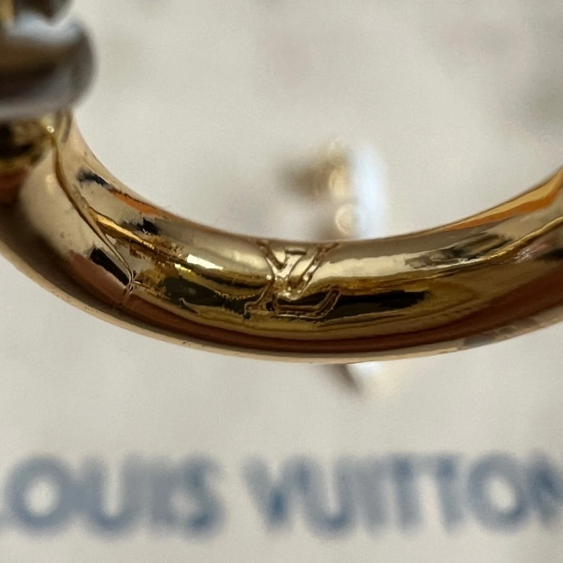 Louis Vuitton Earrings Sustainable 248001