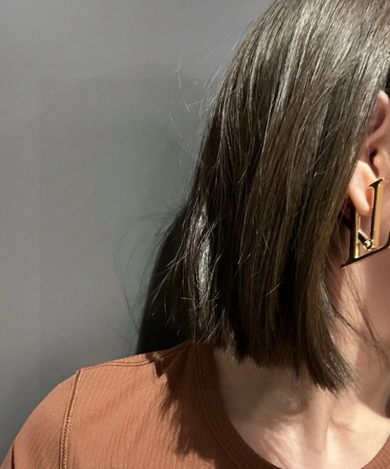 Versatile Louis Vuitton Earrings 247999