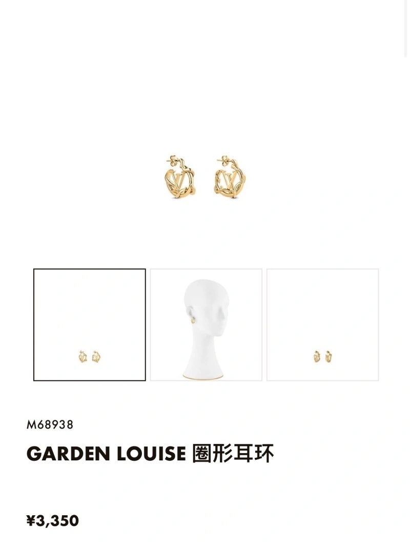 Louis Vuitton Earrings Comfortable 247986