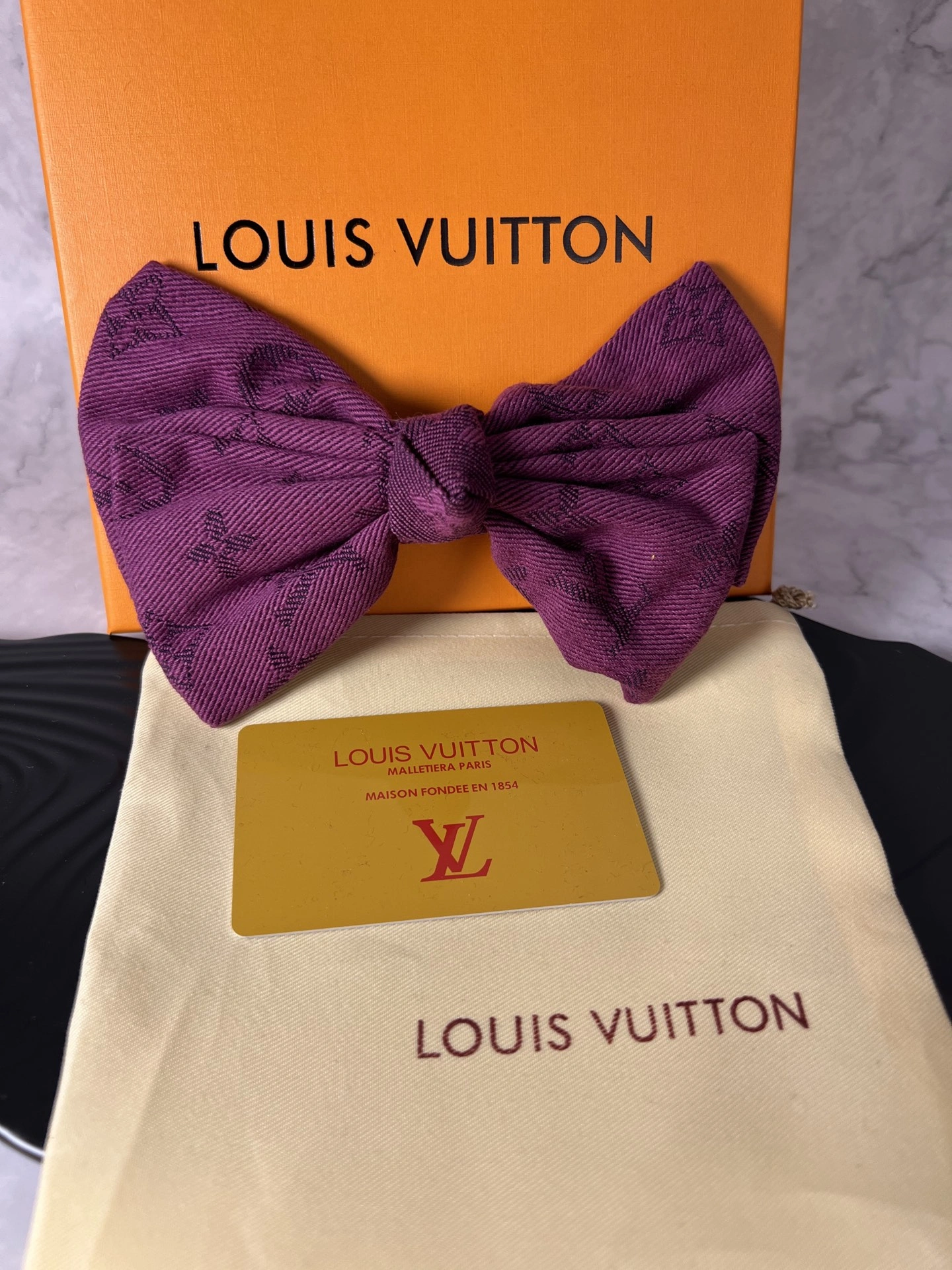 Louis Vuitton Hairpins Supportive 247924