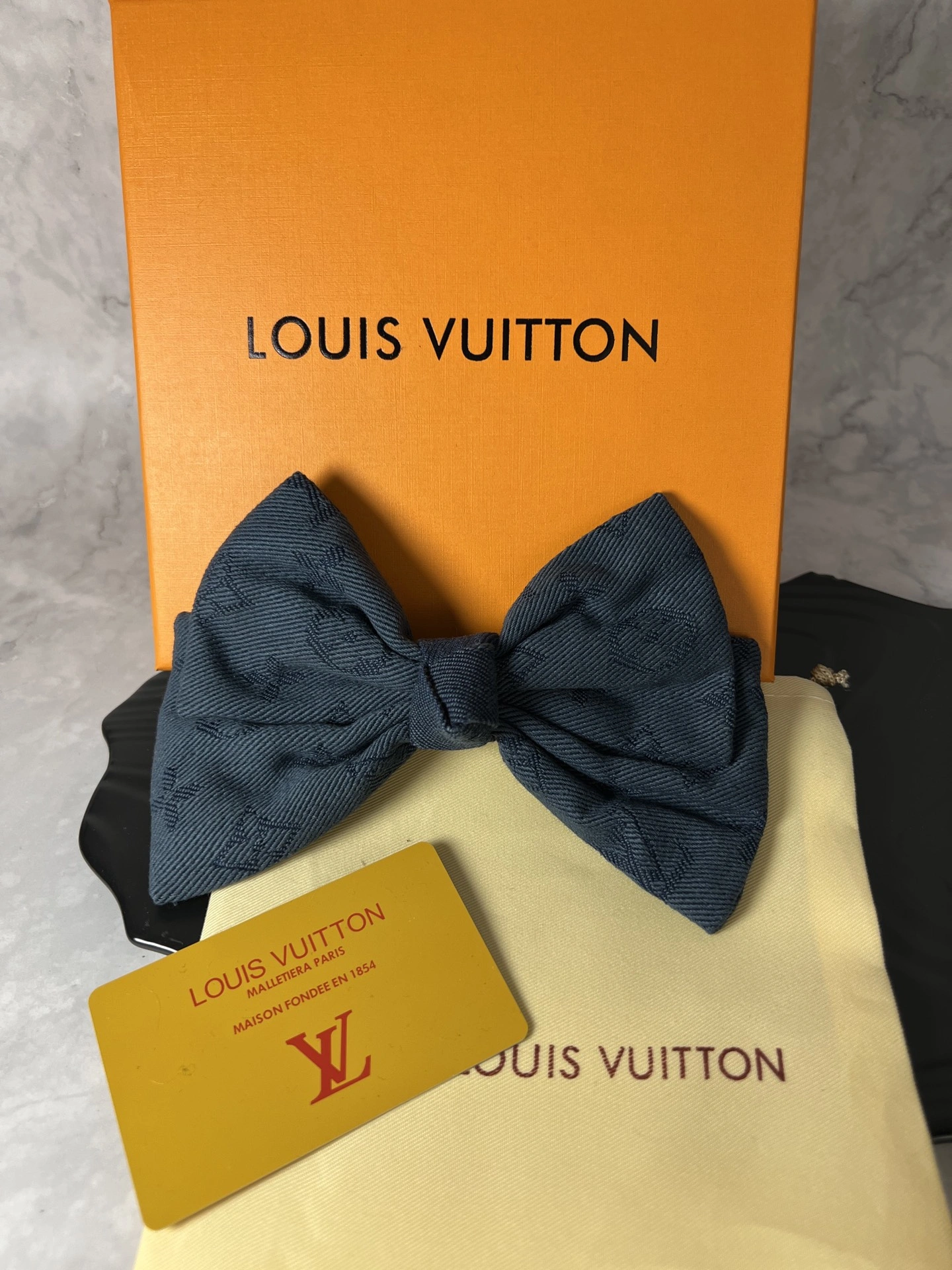 Louis Vuitton Hairpins Popular 247926