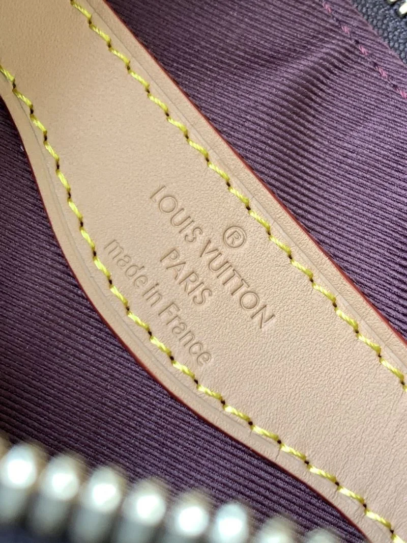 Louis Vuitton Hobo Bags GoAnywhere 42882