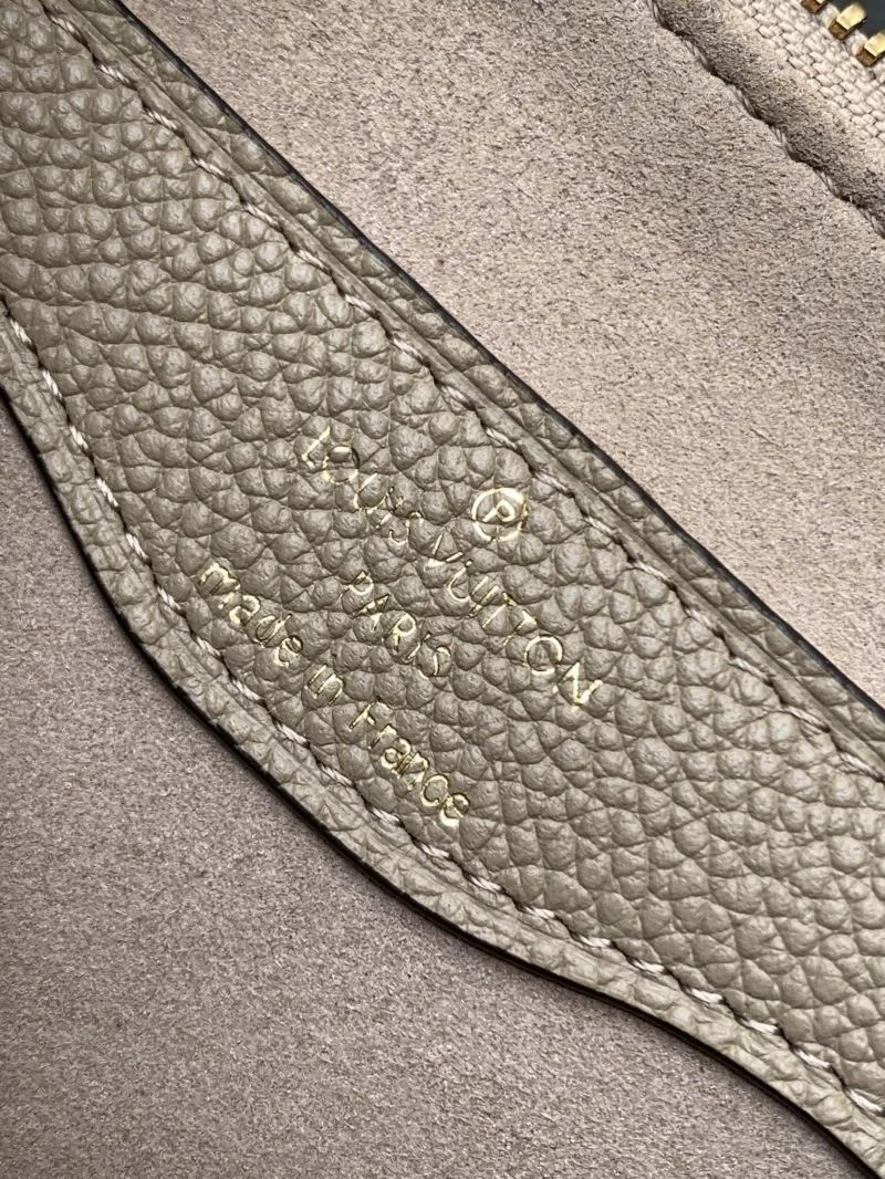 Louis Vuitton Hobo Bags Resilient 41976