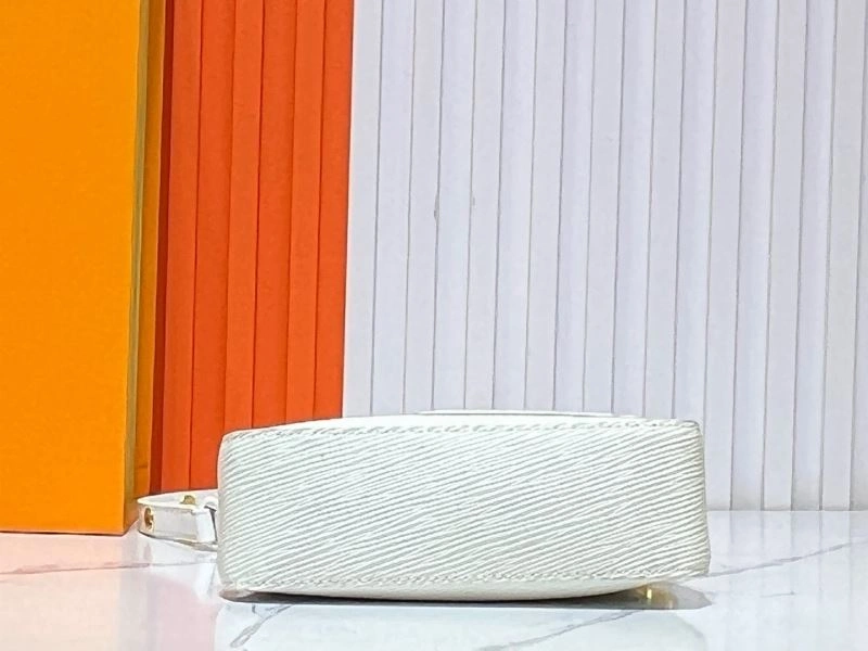 AllSeason Louis Vuitton Hobo Bags 80235