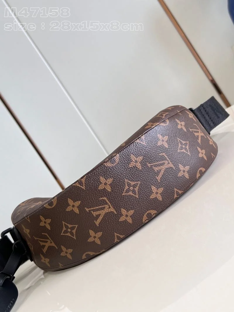 Louis Vuitton Hobo Bags Seasonal 41210