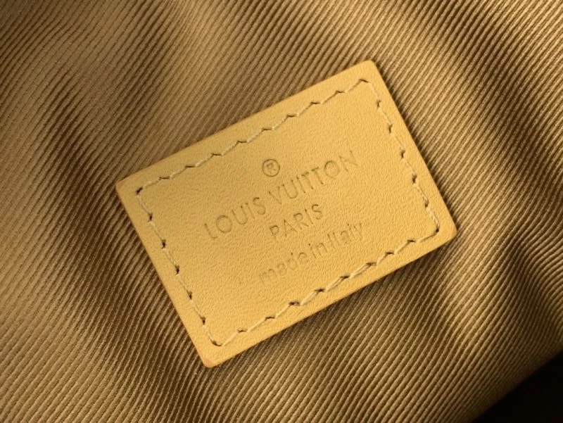 Louis Vuitton Hobo Bags Bold 41203