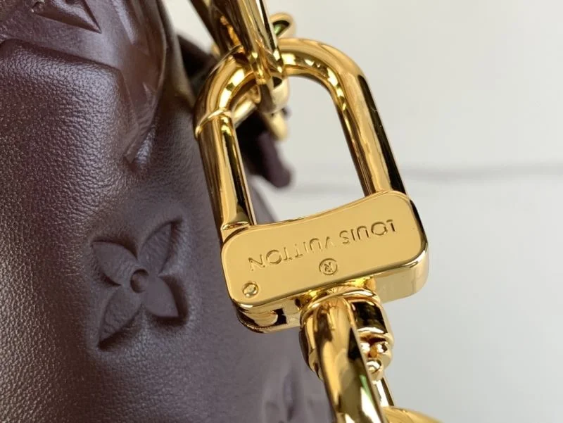 Louis Vuitton Hobo Bags EasyMatch 41202