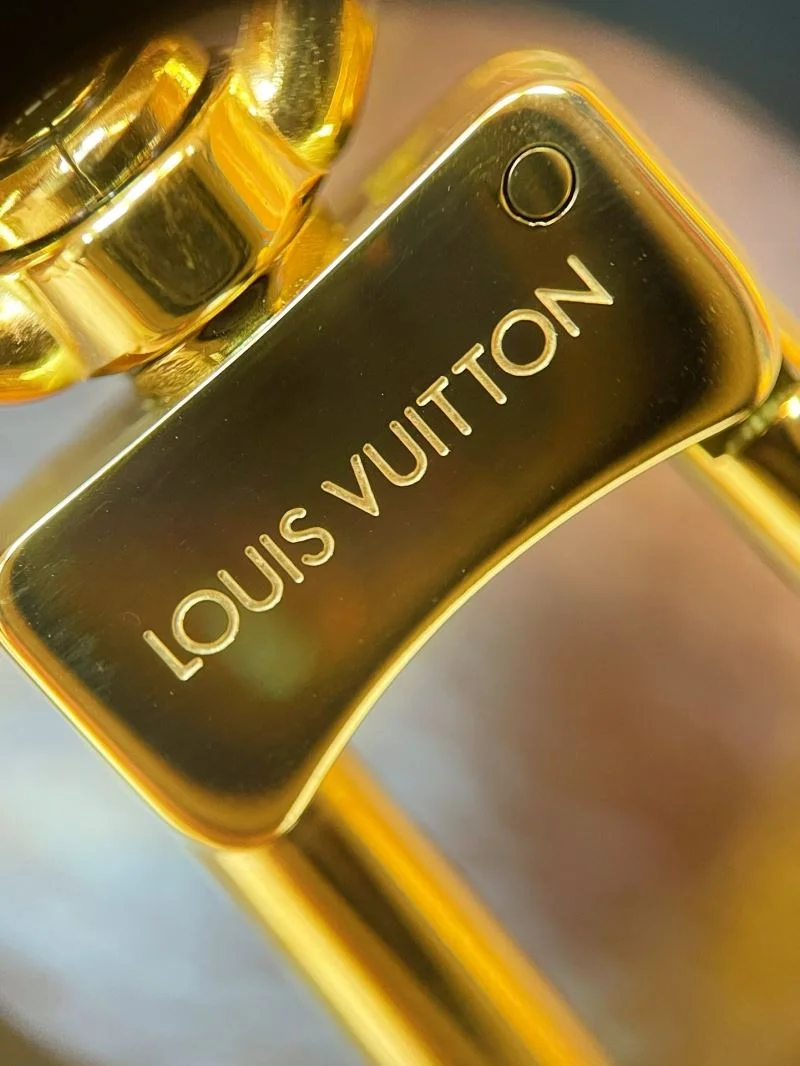Functional Louis Vuitton Hobo Bags 40570