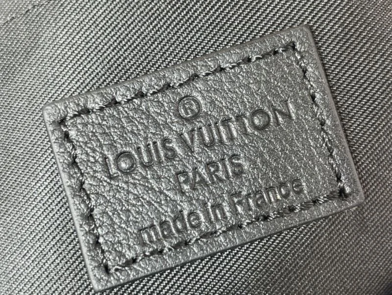 Louis Vuitton Hobo Bags Upgraded 40548