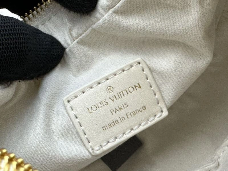 FashionForward Louis Vuitton Hobo Bags 79818