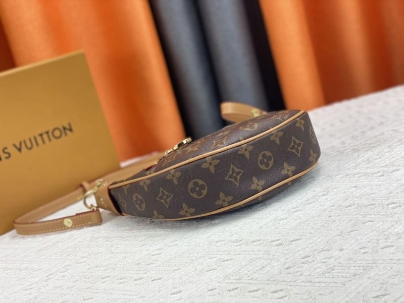 DailyWear Louis Vuitton Hobo Bags 79841