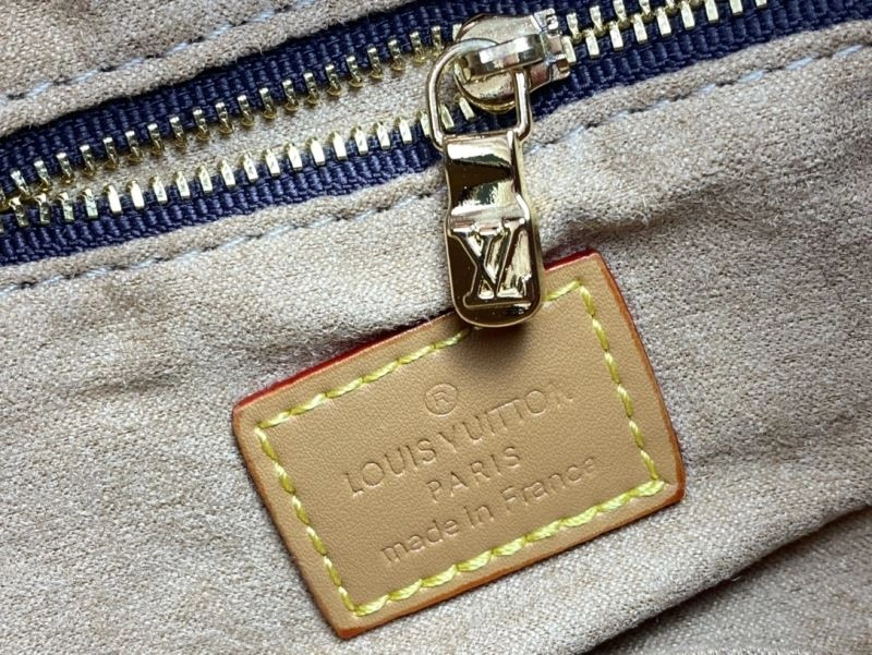 DailyWear Louis Vuitton Hobo Bags 79841