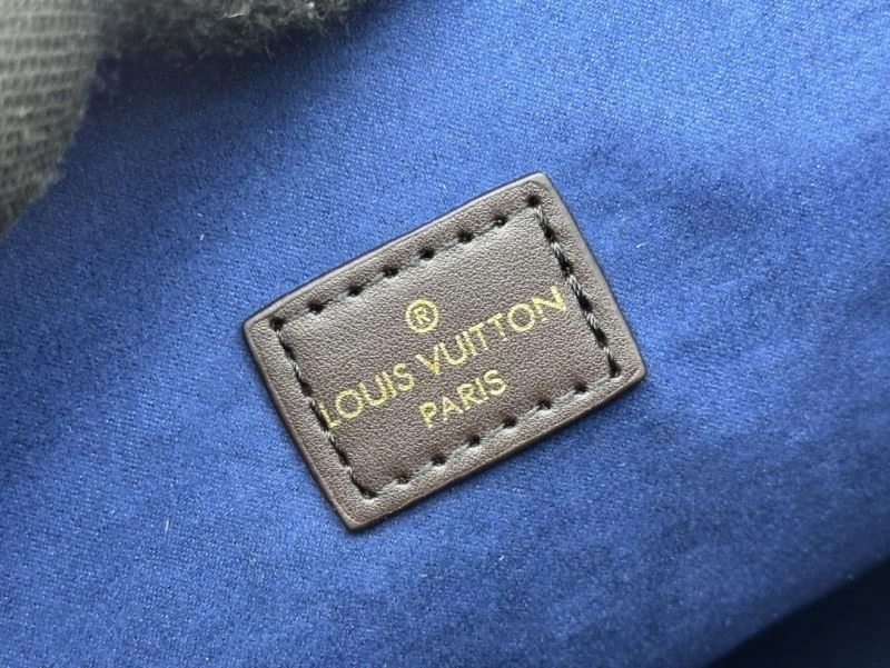 Louis Vuitton Hobo Bags DailyWear 79831