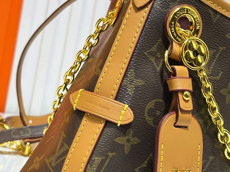 Louis Vuitton Hobo Bags Comfortable 79807