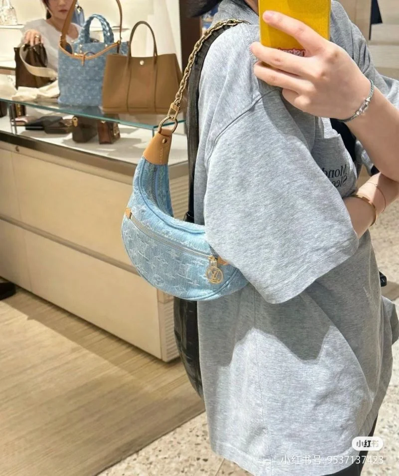 Louis Vuitton Hobo Bags AllSeason 39742