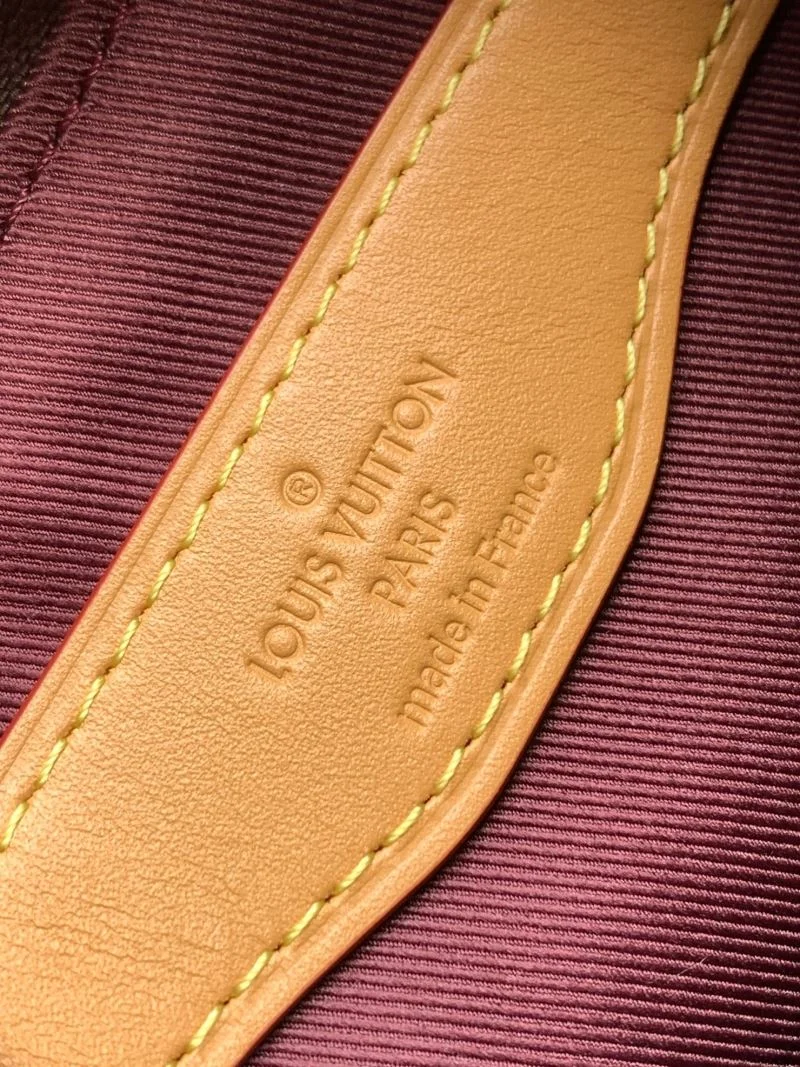 Louis Vuitton Hobo Bags Lightweight 39736