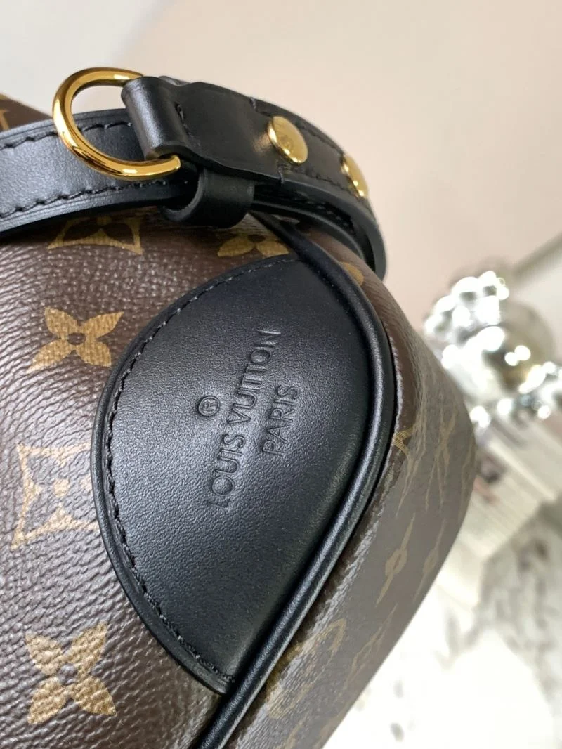 Louis Vuitton Hobo Bags Chic 39733