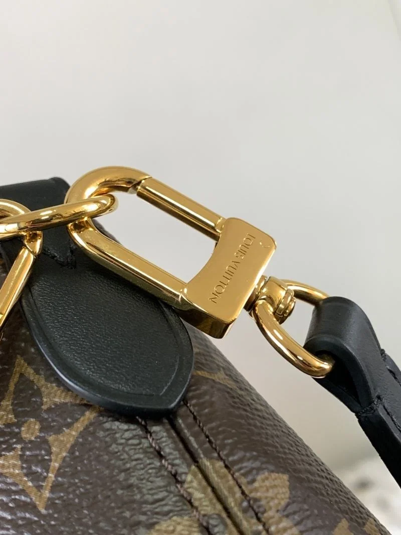Louis Vuitton Hobo Bags Chic 39733
