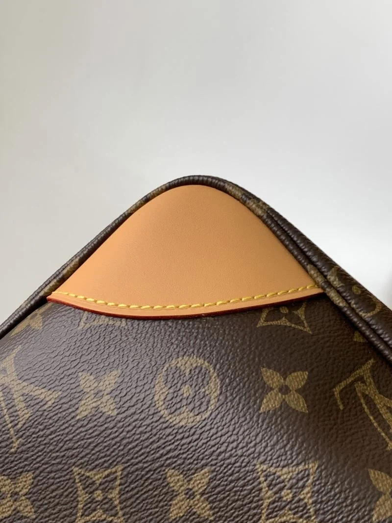 Youthful Louis Vuitton Hobo Bags 39729