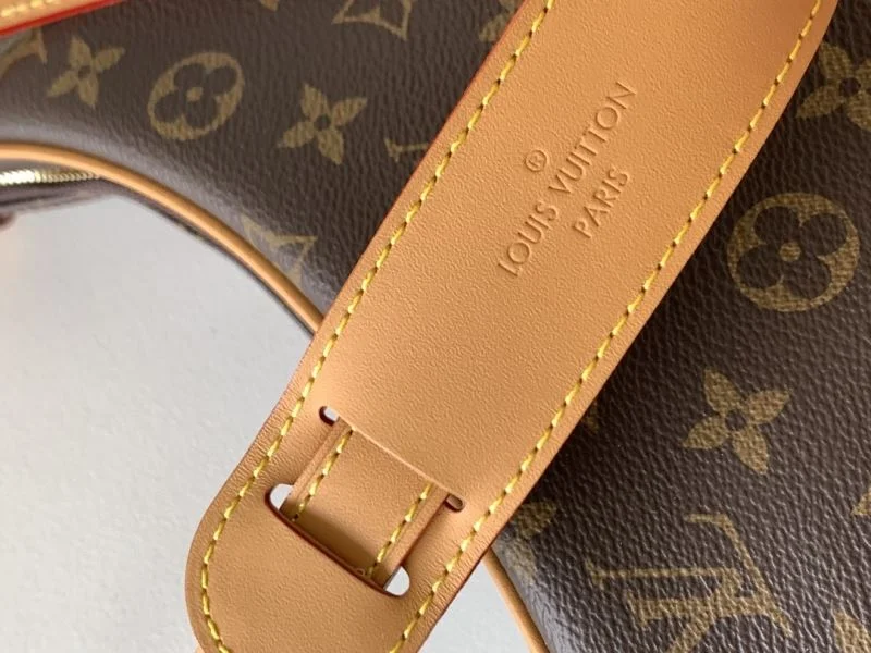 Youthful Louis Vuitton Hobo Bags 39729