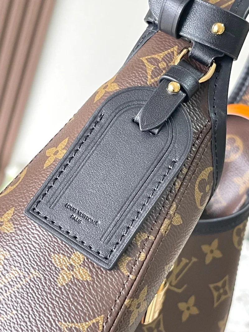 Louis Vuitton Hobo Bags Lightweight 38886