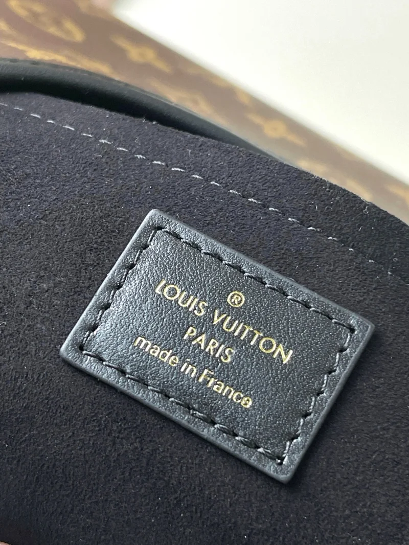 Louis Vuitton Hobo Bags Lightweight 38886