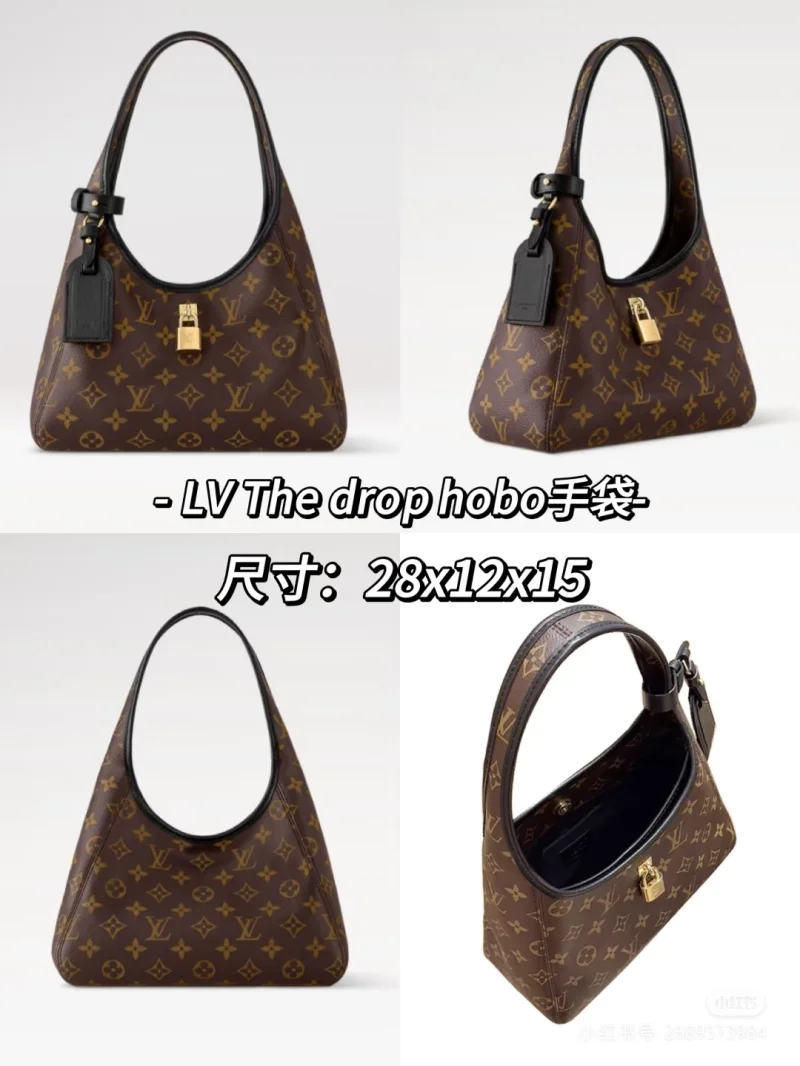 Louis Vuitton Hobo Bags Lightweight 38886