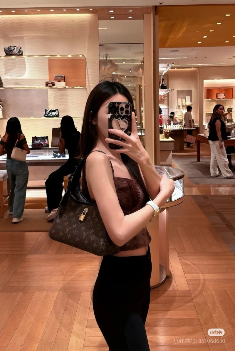 Louis Vuitton Hobo Bags Lightweight 38886