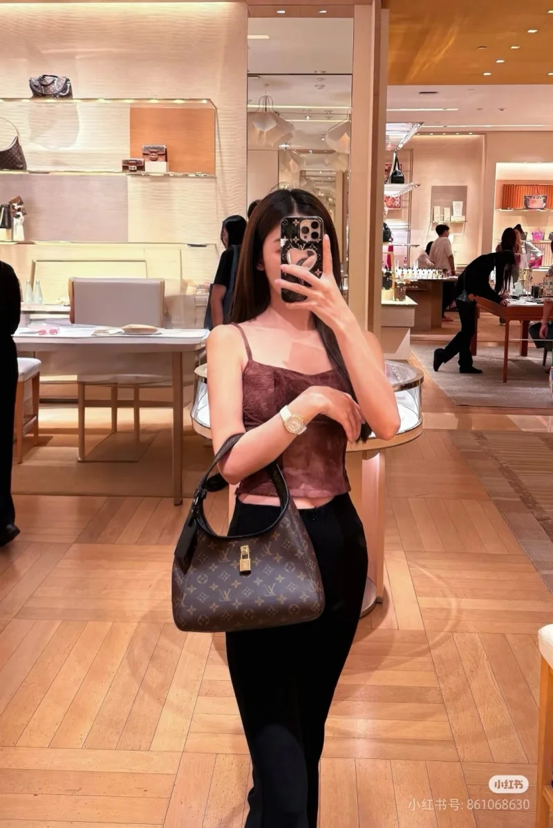 Louis Vuitton Hobo Bags Lightweight 38886