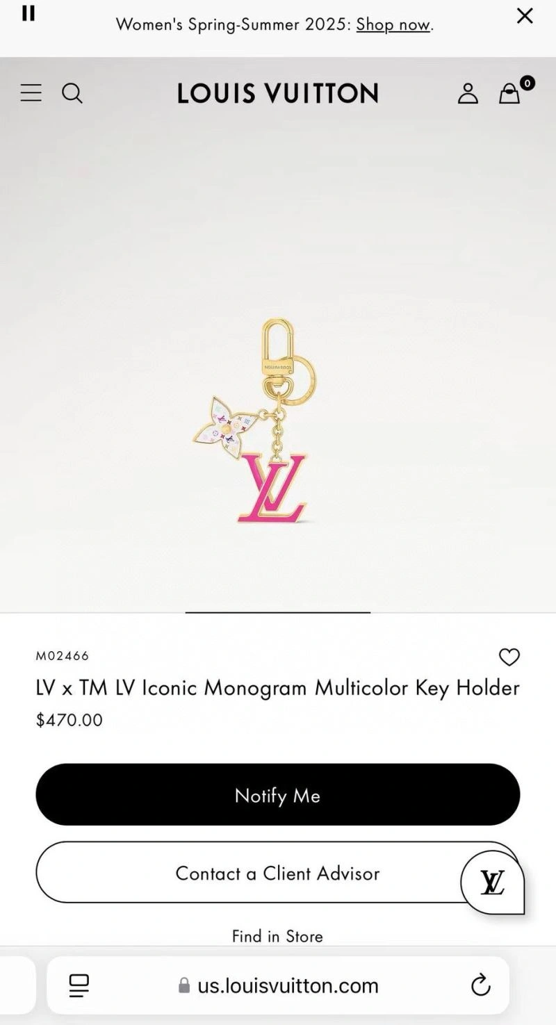 Louis Vuitton Keychains Youthful 266003