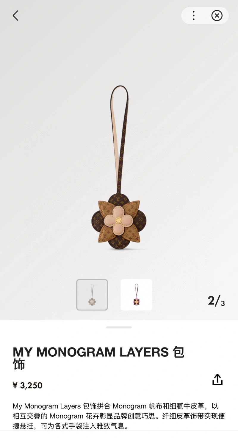 Louis Vuitton Keychains Durable 266060
