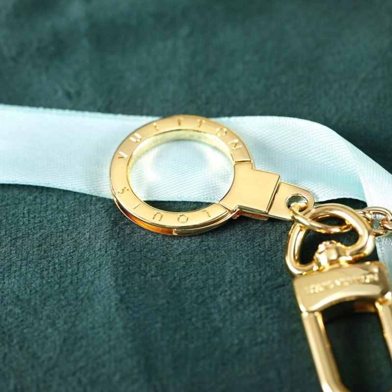 DailyWear Louis Vuitton Keychains 267267