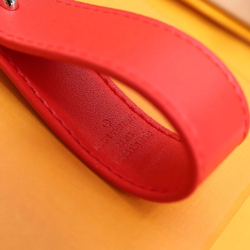 Louis Vuitton Keychains GoAnywhere 267151
