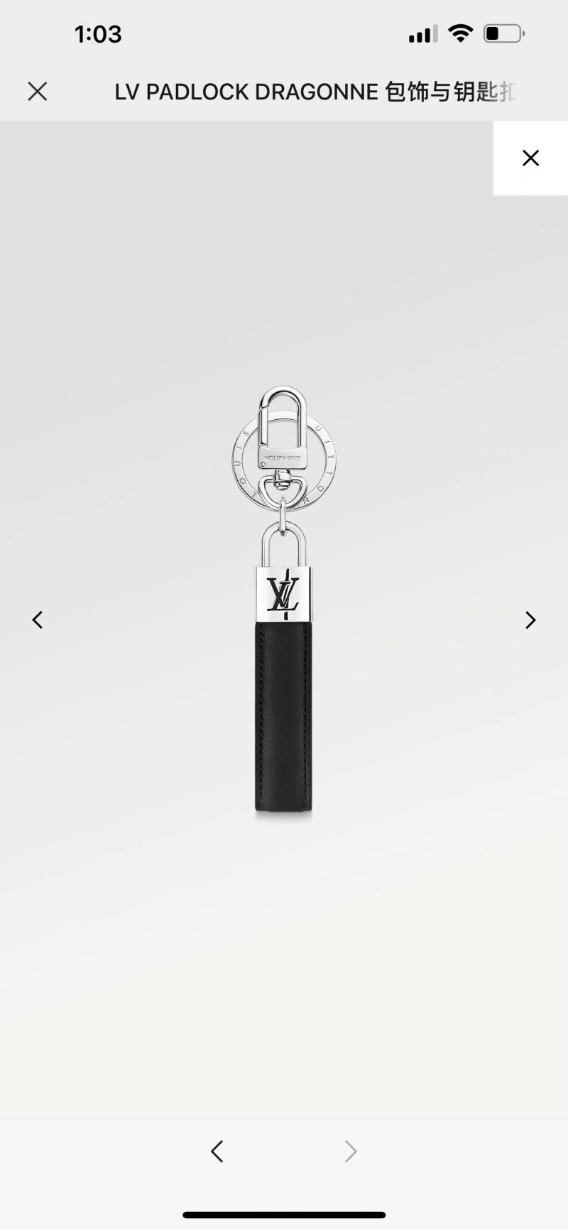 Louis Vuitton Keychains MultiPurpose 267088
