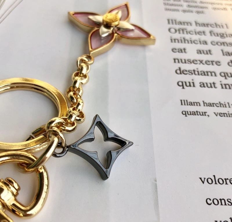 Louis Vuitton Keychains Resilient 267033
